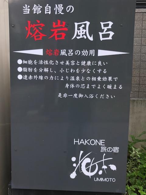 Hôtel Umimoto à Hakone Extérieur photo