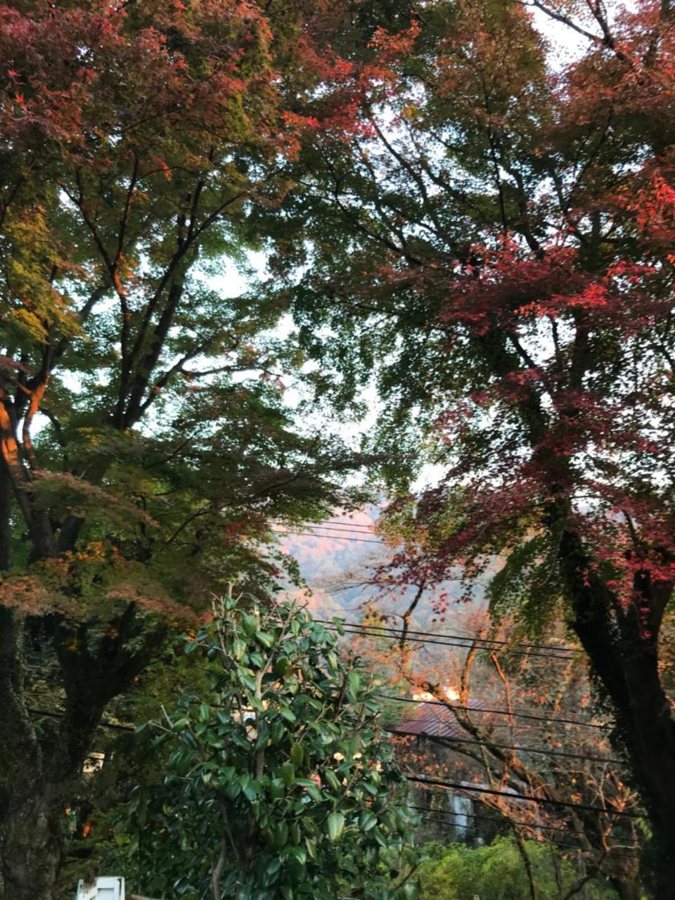 Hôtel Umimoto à Hakone Extérieur photo